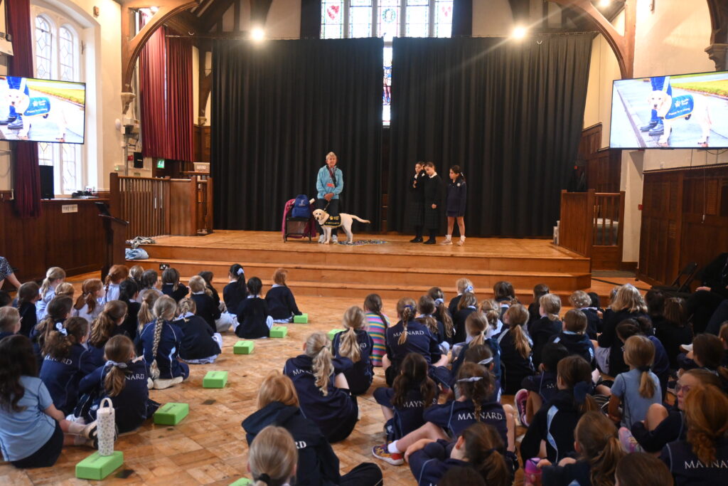 Learning about guide dogs